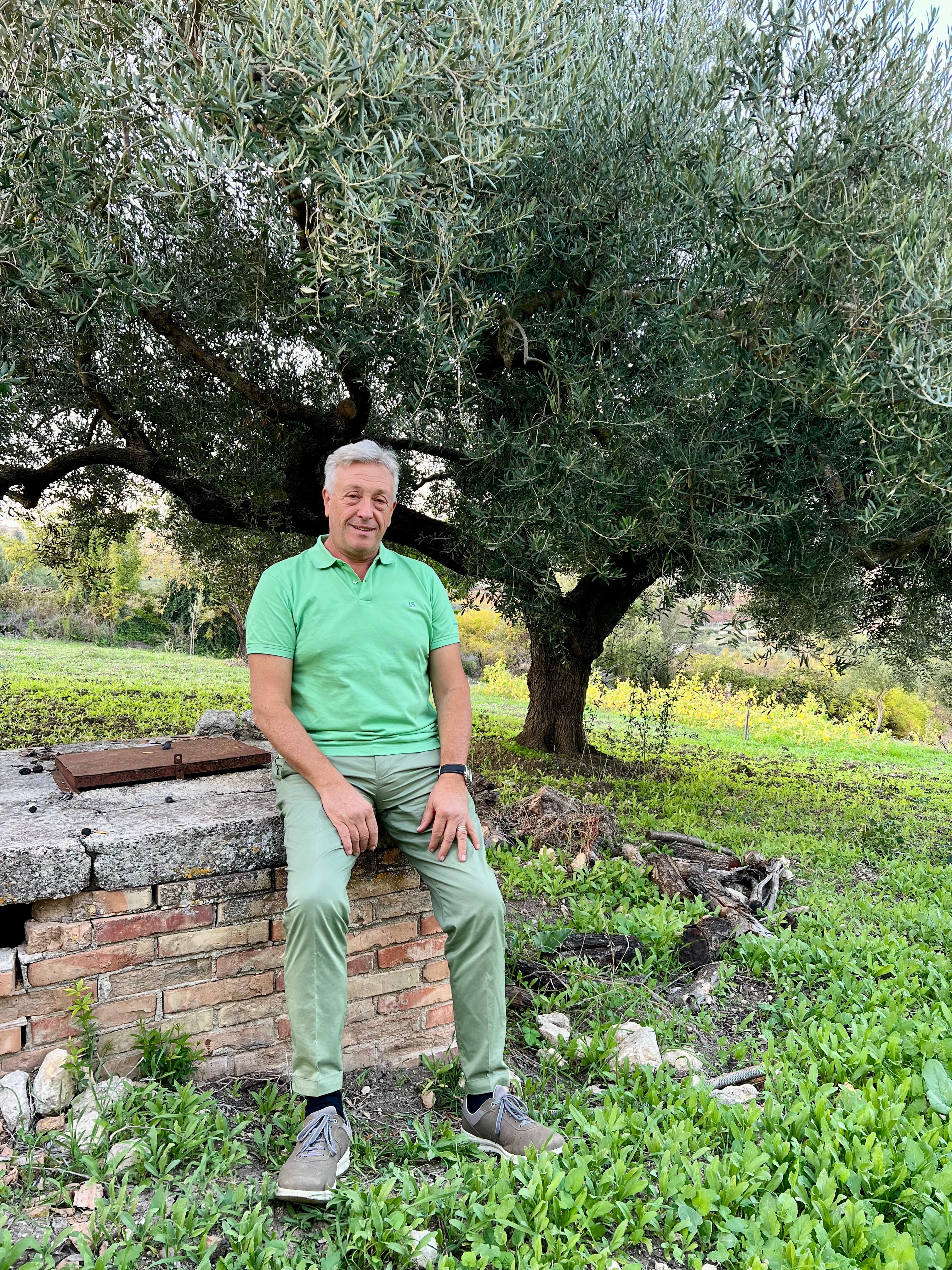 natives Bio Olivenöl extra